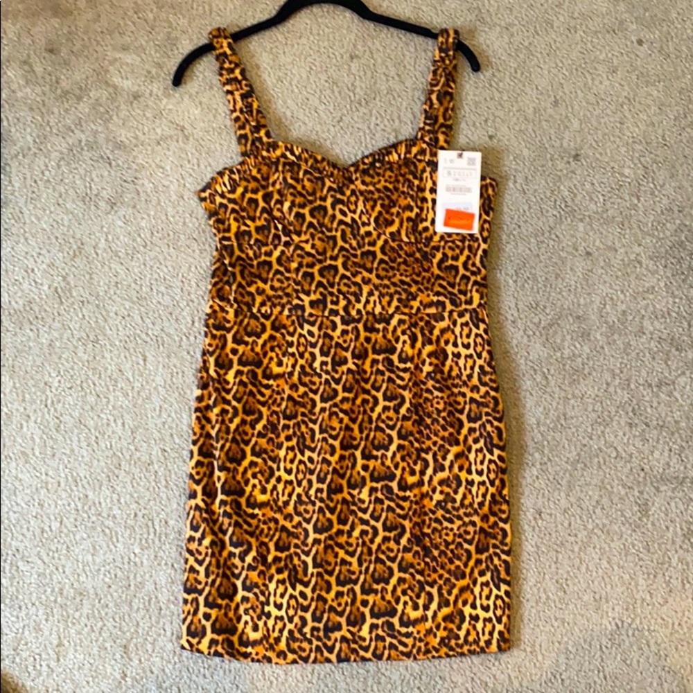 Zara small animal print dress